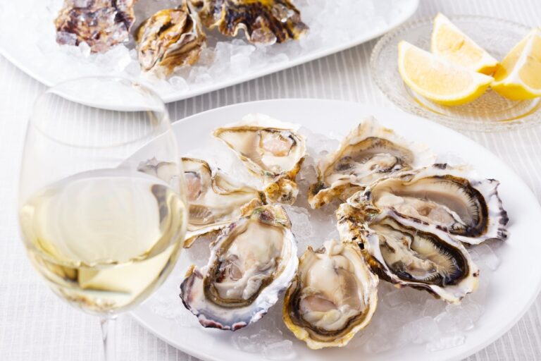 Can Oysters Help Fight Disease? Scientists May Have Found a New Weapon Against Bacteria