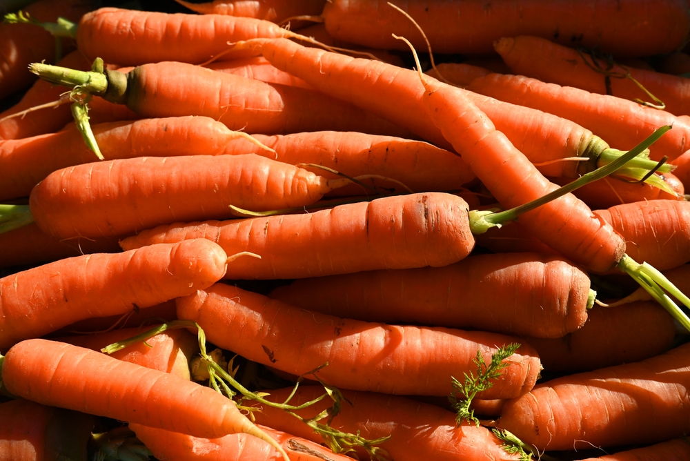 Carrots