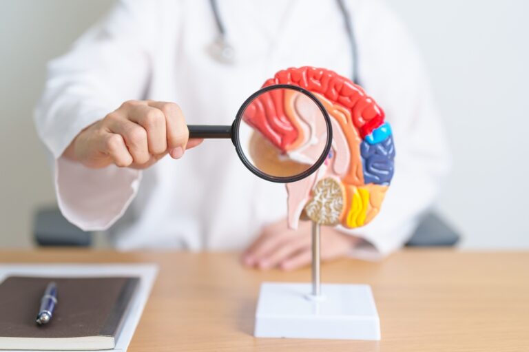 Researchers restore frozen brain tissue after thawing