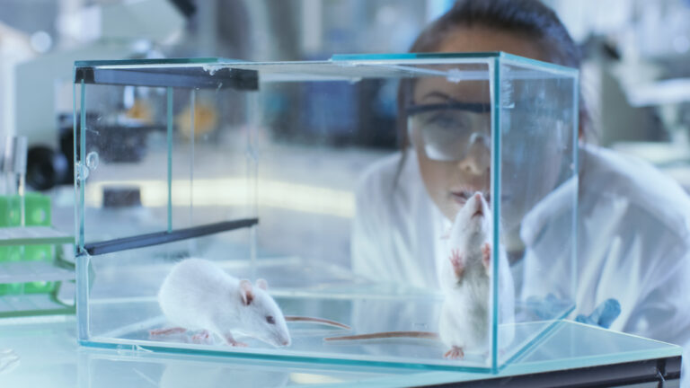 New study finds drug reversed autism-like brain changes within hours