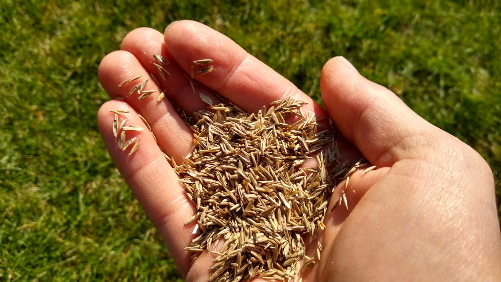 How to Boost Your Fiber Intake Without Only Eating Brown Rice