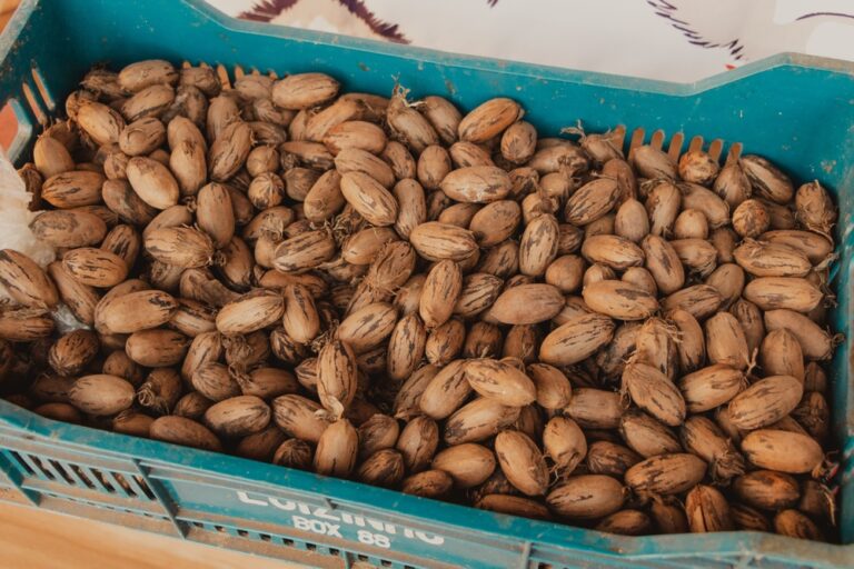Major review finds consistent link between pecans and improved cholesterol