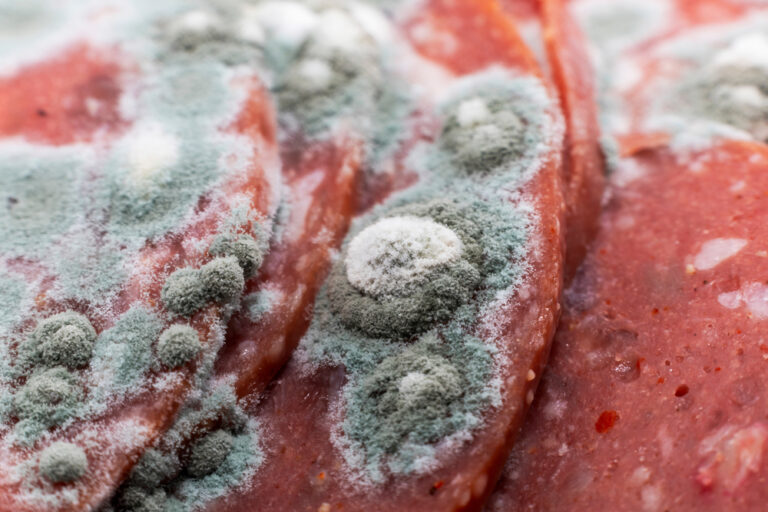 How mold can affect your body if you eat it