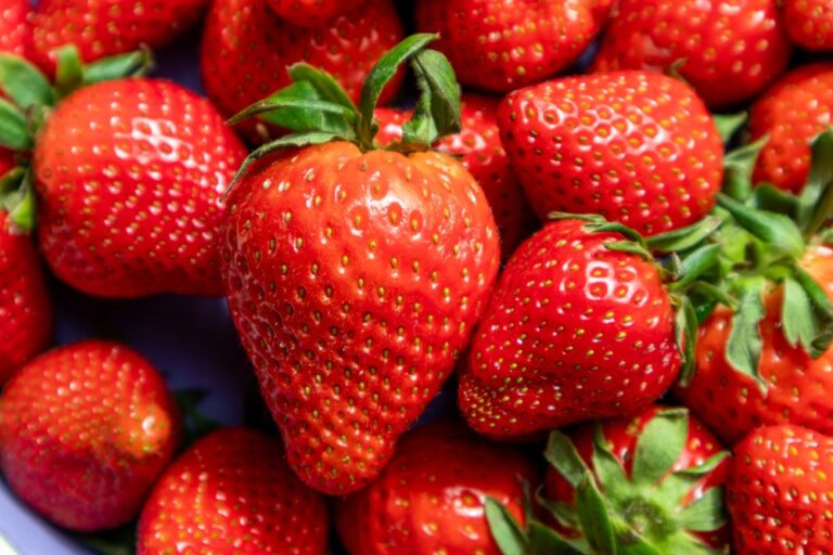 How to Keep Your Strawberries Fresh For Days