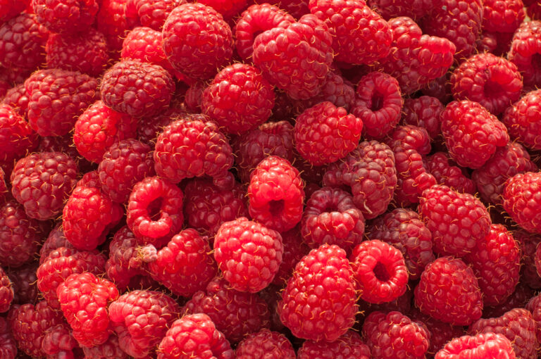 How raspberries can affect your body if you eat them every day