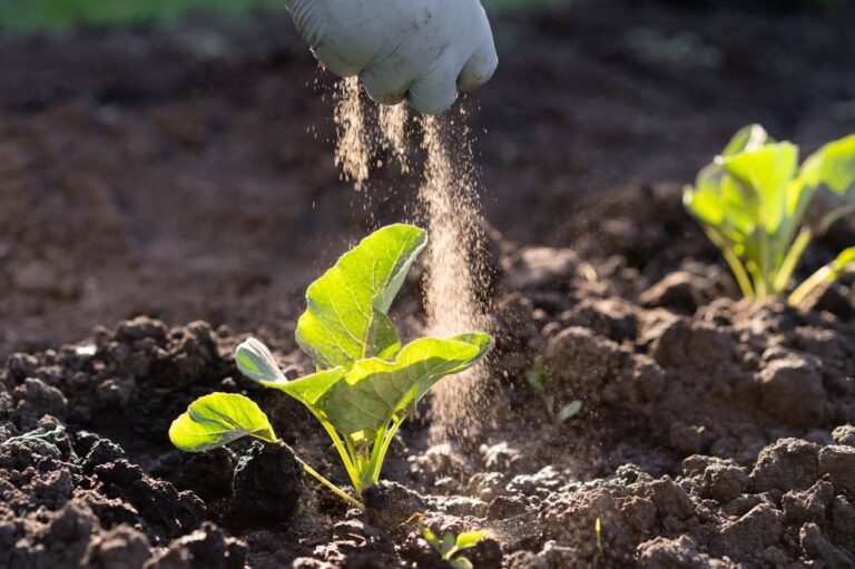 Long-term pesticide exposure may raise your risk of Parkinson’s, new study finds