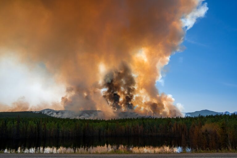 Ten years of data link wildfire smoke to increased urban violence