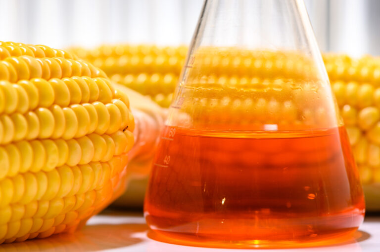 New research: Fructose may increase the risk of lifestyle diseases