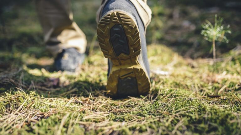 Spending time in nature could reduce feelings of loneliness
