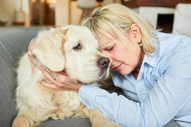 Animal-assisted therapy can improve your mental health