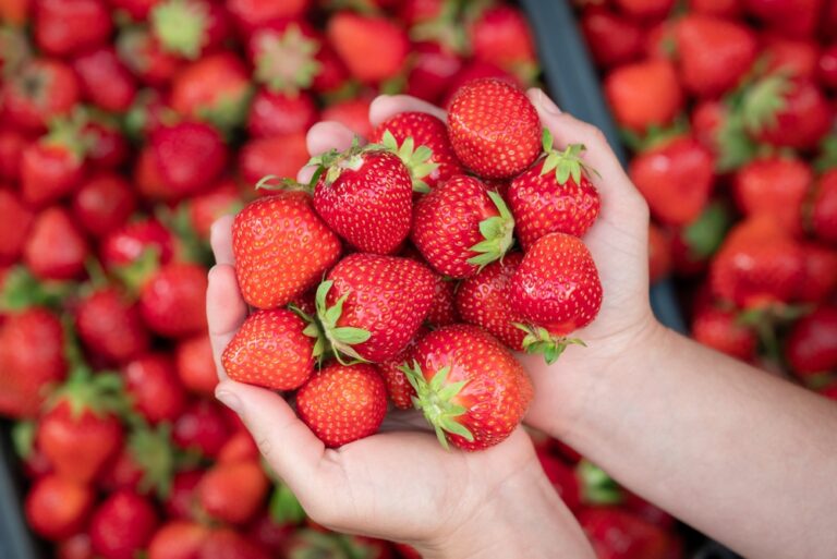 Here’s what happens when you eat strawberries every day