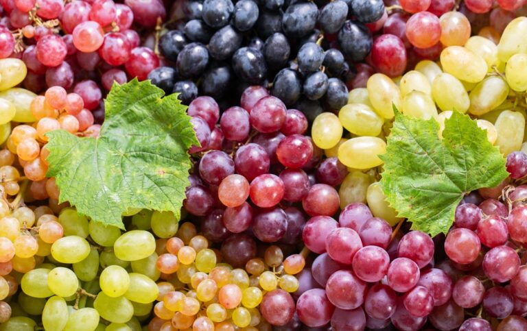 How grapes can affect your body if you eat them every day