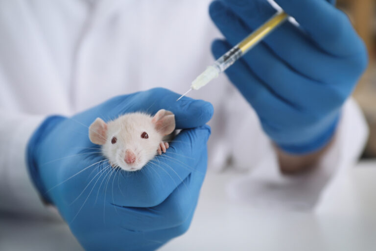 Healthy rats developed Alzheimer’s-like symptoms after receiving gut bacteria transfer