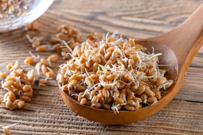 Forget oatmeal: Why experts are highlighting sprouted buckwheat