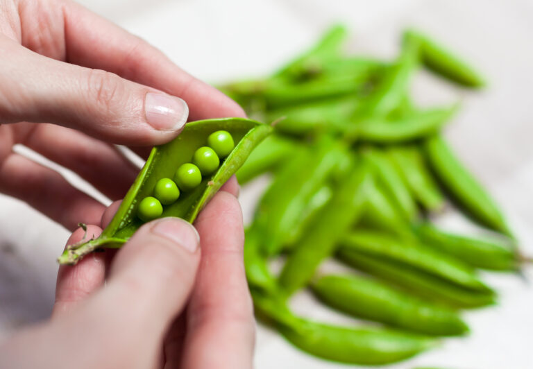 A handful of legumes could reduce the risk of high blood pressure by 30 percent