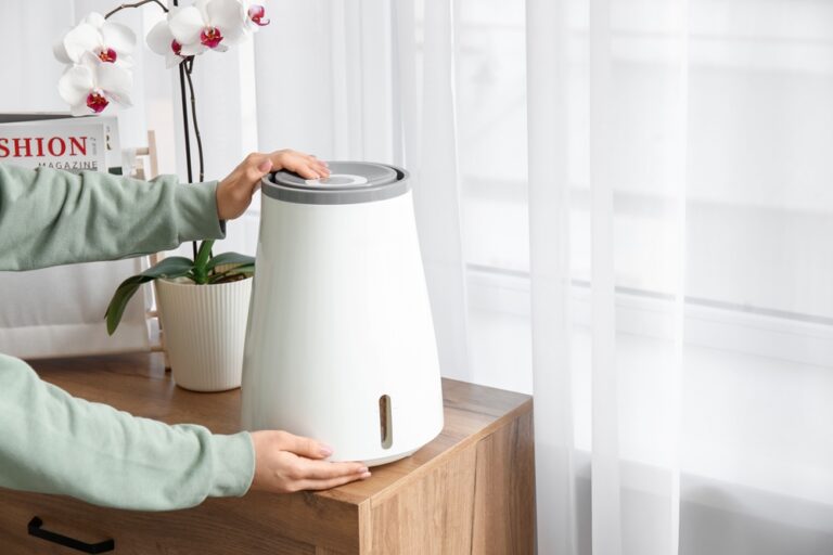 How to improve the air quality in your home
