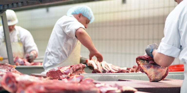 Which protein source is best for muscle health? Study compares animal and plant proteins