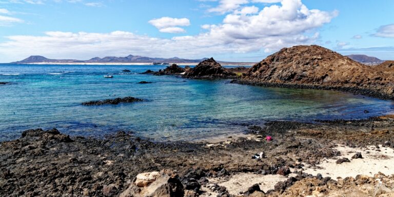 Rising sea temperatures could boost harmful bacteria