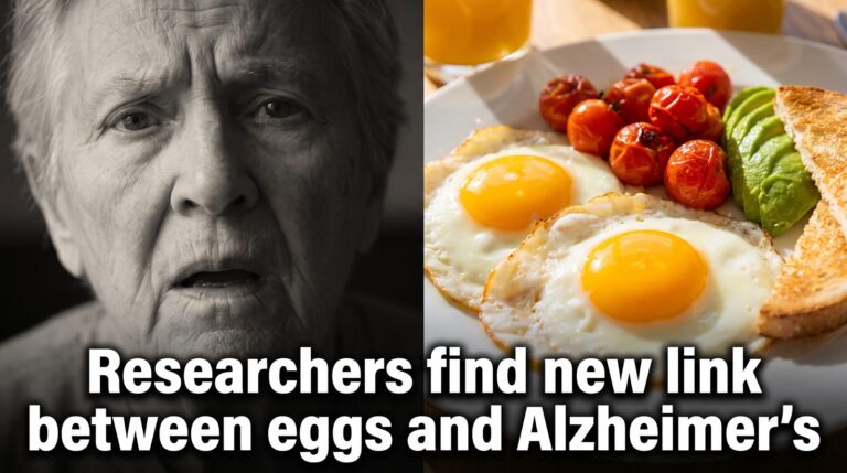Researchers find new link between eggs and Alzheimer’s