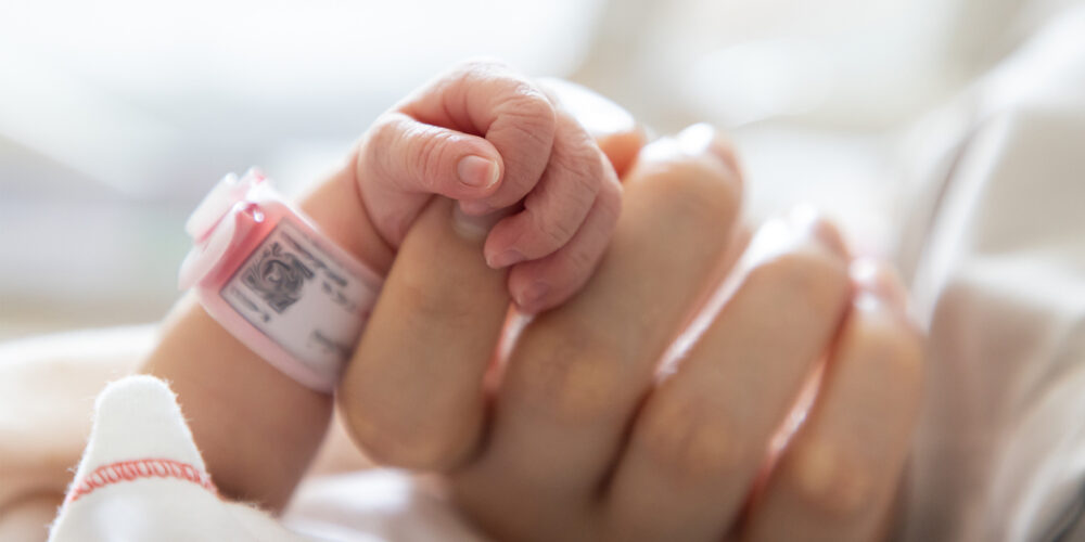 A daily probiotic may lower the risk of death for babies born too early